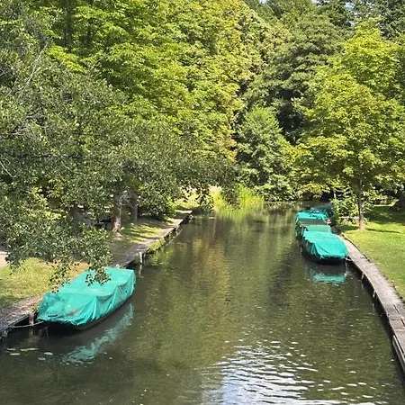 Gruene Oase * Lübbenau