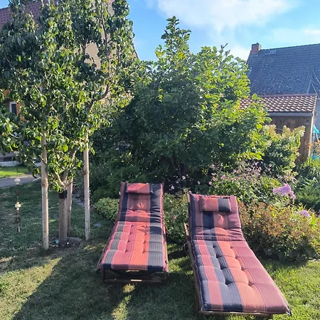 Gruene Oase Lägenhet *
